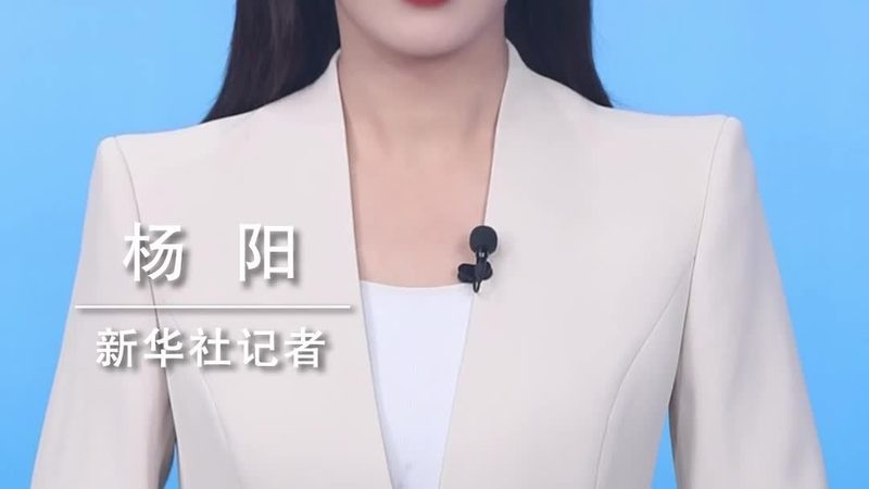 制造业ERP系统定制开发：价格背后的考量因素**